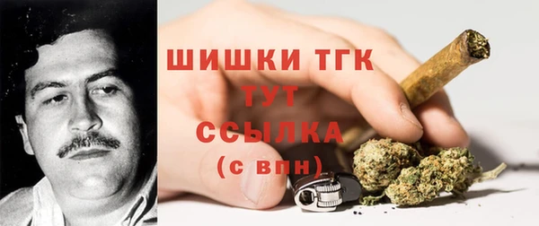 шишки Бронницы