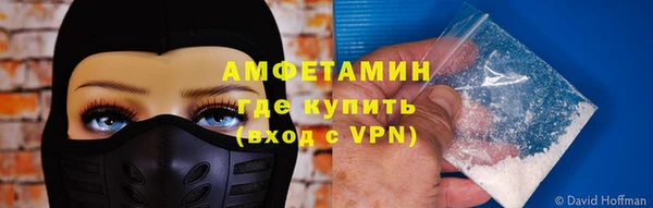 шишки Бронницы