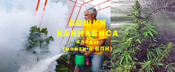 шишки Бронницы