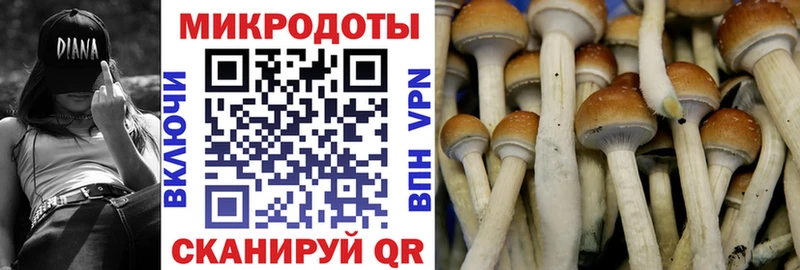Псилоцибиновые грибы Cubensis  Купить где  Асино 