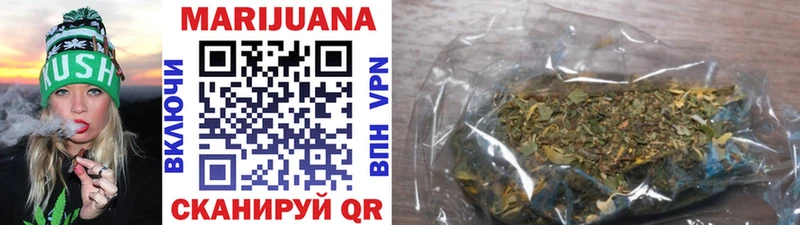 Купить  Асино  Конопля сатива 